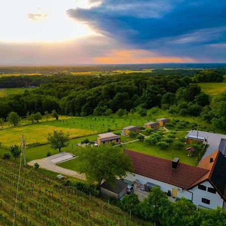 Vinea Panonika Wine & Mind Retreat Villa Radenci Exterior photo
