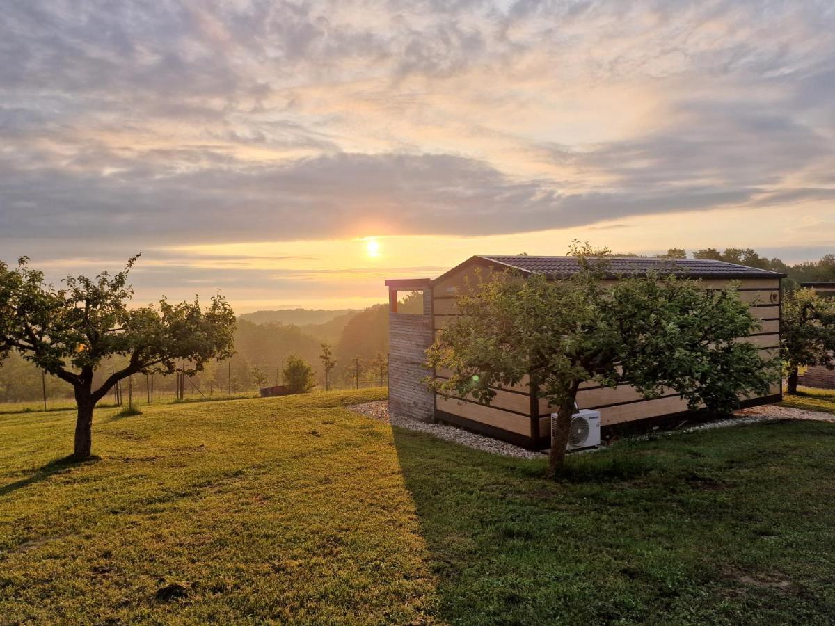 Vinea Panonika Wine & Mind Retreat Villa Radenci Exterior photo