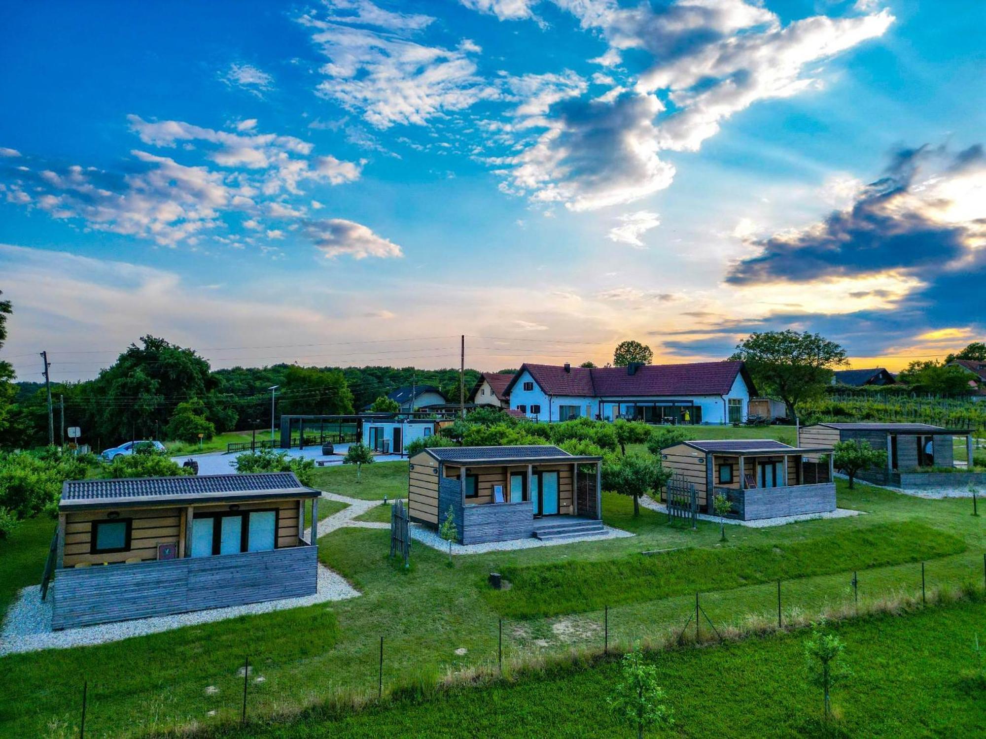 Vinea Panonika Wine & Mind Retreat Villa Radenci Exterior photo